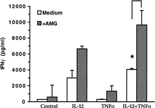 Fig. 7. Effect of AMG on IFNγ production by NK cells. Purified NK cells (106 cells/mL) were incubated with the indicated cytokines in presence or absence the AMG for 3 days. Supernatants were collected and IFNγ production was measured by ELISA. Results are expressed as the mean ± SD of three different donors. Asterisks denote statistically significant differences between IL-12 + TNF + AMG and IL-12 + TNF (*P < .05), as determined by the Student’s t-test.