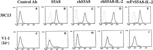 Fig. 3. FACS analysis of anti-Id–IL-2 fusion proteins. A control MoAb (A and F), S5A8 (B and G), chS5A8 (C and H), chS5A8–IL-2 (D and I), or scFvS5A8–IL-2 (E and J) was reacted with 38C13 cells (A through E) or V1-1, an Id-negative variant of 38C13 (F through J). The bound anti-Id Abs were detected with second-step FITC-conjugated Abs or with second-step biotin-labeled Abs followed by FITC-labeled avidin, as detailed in the text. Dashed lines represent fluorescence from cells without addition of the tested anti-Id Abs.