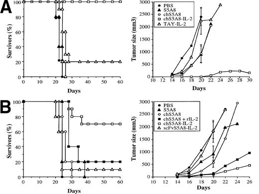 Fig. 6. Effect of anti-Id–IL-2 therapy on the in vivo growth of 38C13 tumors. (A) and (B) represent data of two independent experiments. Syngeneic mice C3H/HeN (n = 10) were inoculated SC with 1 × 103 tumor cells and then treated on the following day by IV injection of various Abs over a period of 5 days. Tumor growth was measured 3 times a week. The percentage of tumor-free animals and the mean tumor volume were calculated. SDs (bars) are only given at day 20 for clarity.
