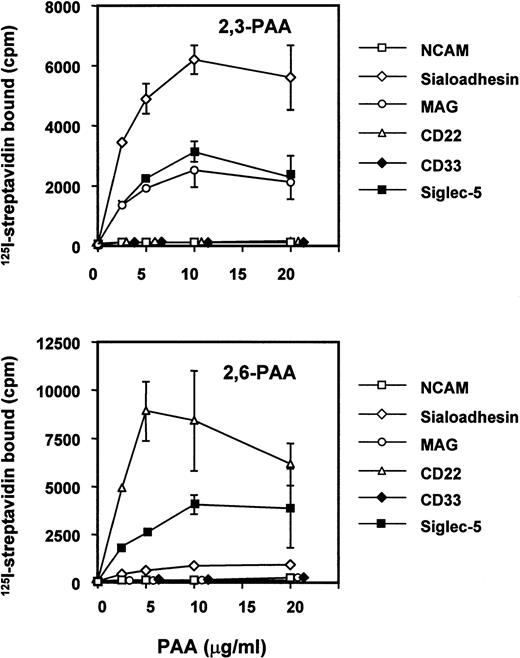 Fig. 5. Binding of siglec-5 to polyacrylamide glycoconjugates in comparison with other siglecs. Fc-siglecs at 1 μg/mL were immobilized to plastic via anti-Fc antibody and biotinylated polyacrylamide (PAA) glycoconjugates linked either to 3′sialyllactose (2,3-PAA) or 6′sialyllactose (2,6-PAA) was added at the indicated concentrations. Unbound conjugate was washed off and binding detected with 125I-streptavidin. Data show means ± standard deviations of triplicates and are representative of four experiments performed.