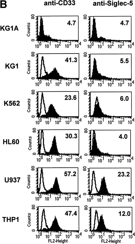 Fig. 6. FACS analyses of siglec-5 expression on human hematopoietic cells in comparison to CD33. (A) COS-1 cells transiently transfected with either full-length CD33 cDNA or siglec-5 cDNA and labeled with preimmune serum, mouse anti–siglec-5 antiserum or anti-CD33 MoAb followed by phycoerythrin-conjugated F(ab)2anti-mouse IgG. Values refer to the percentage of cells within the indicated gate. (B) Human myeloid leukemic cell lines stained with either preimmune serum (open histograms), anti–siglec-5 antiserum or anti-CD33 MoAb (filled histograms). The mean fluorescence intensities observed with either anti–siglec 5 or anti-CD33 antibodies are shown in each box. (C) Human blood leukocytes, stained as described above for (B).