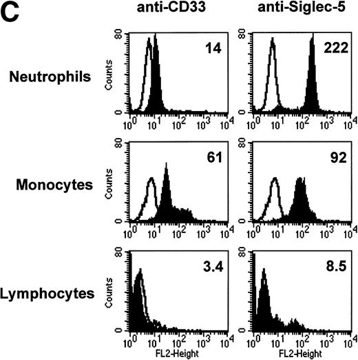Fig. 6. FACS analyses of siglec-5 expression on human hematopoietic cells in comparison to CD33. (A) COS-1 cells transiently transfected with either full-length CD33 cDNA or siglec-5 cDNA and labeled with preimmune serum, mouse anti–siglec-5 antiserum or anti-CD33 MoAb followed by phycoerythrin-conjugated F(ab)2anti-mouse IgG. Values refer to the percentage of cells within the indicated gate. (B) Human myeloid leukemic cell lines stained with either preimmune serum (open histograms), anti–siglec-5 antiserum or anti-CD33 MoAb (filled histograms). The mean fluorescence intensities observed with either anti–siglec 5 or anti-CD33 antibodies are shown in each box. (C) Human blood leukocytes, stained as described above for (B).