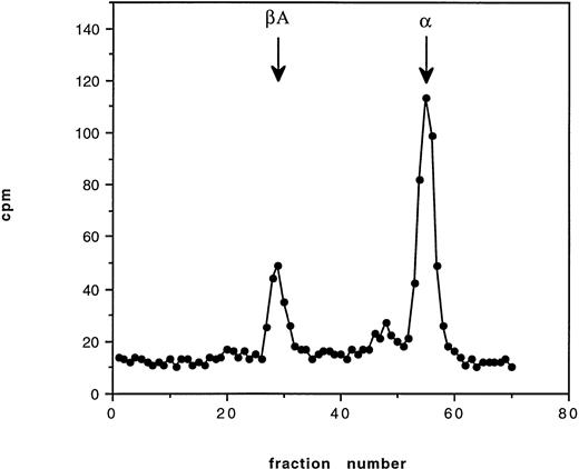 Fig. 5. Cation exchange chromatography showing globin binding to the membrane in Hb Bristol (β67 Val- Met→Asp) after 60 minutes of incubation with tritiated leucine. Binding of both  and β globin occurs.