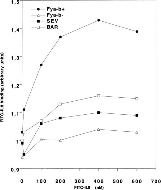 Fig. 1. Flow cytometry analysis of IL-8 binding to RBCs. RBCs (5 × 104) from the Fy(a−bweak) donors SEV and BAR and from Fy(a−b+) and Fy(a−b−) controls with the determined genotypes FY*B/*B and FY*Fy/*Fy, respectively, were incubated with increasing concentration of fluorescent FITC-conjugated IL-8. Chemokine binding was analyzed by flow cytometry. Results are expressed as the specific IL-8 binding (arbitrary units) versus ligand concentration. Nonspecific signal was determined when incubation with the FITC-labeled IL-8 was performed in presence of a 100-fold excess of unlabeled IL-8.