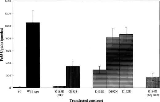 Fig. 1. Iron transport activity of wild-type and mutant forms of Nramp2. HEK293T cells were transfected with the constructs indicated and uptake of 55Fe (in pmol) was measured. Cells were incubated for 20 minutes in pH 6.0 incubation buffer with 50 μmol/L ascorbate and 1 μmol/L 55Fe-NTA. (−) Indicates iron uptake by cells transfected with an antisense control, in which the murine Nramp2 cDNA was subcloned into pMT2 in a noncoding orientation.