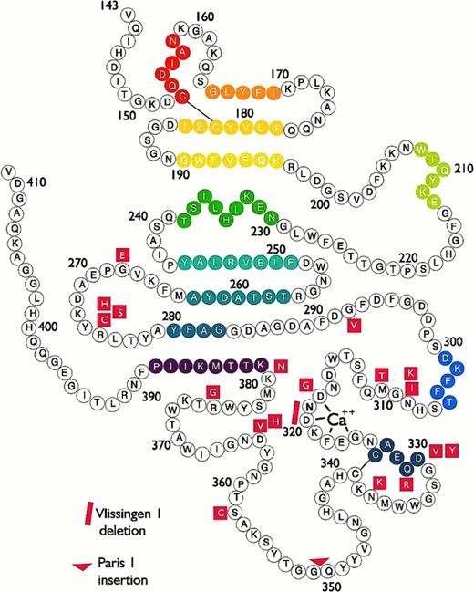 Fig. 2. Bead model of the globular carboxyl-terminal region of the human fibrinogen γ chain, from Val143 to Val411. Mutations responsible for γ-dysfibrinogenemias are presented in red. Colored beads indicate stretches of α helix or β strand structure.