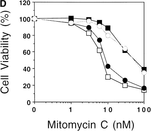 Fig. 4. Depletion of FAA from the nucleus abolishes its ability to complement MMC hypersensitivity in FA-A lymphoblasts. (A) Schematic representation of FAA-NES and FAA-P12. The double-headed arrow indicates the amino acid substitution leading to inactivation of the NES. (B) (see page 2232) Immunofluorescence microscopy using pcDNAFAA-NES in transiently transfected Hela cells. (C) Western blot showing the stable expression of FAA, FAA-NES, and FAA-P12 in HSC72 cells. (D) MMC sensitivity assays of the HSC72-derived stable transfectants. (□), Control; (▪), FAA; (○), FAA-P12; (•), FAA-NES. A representative experiment is shown.