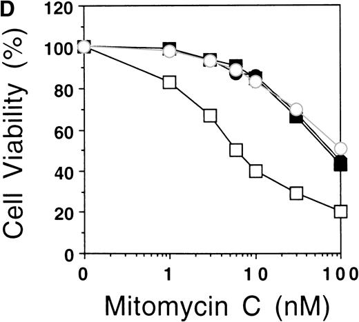 Fig. 5. Nuclear-targeted FAA is fully functional in complementing MMC sensitivity. (A) Schematic representation of FAA-NLS and FAA-mutNLS. (B) (see page 2232) Visualization of FAA-NLS transiently expressed in HeLa cells by immunofluorescence microscopy. (C) Western blot showing the stable expression of FAA-NLS and FAAmutNLS in HSC72 cells. (D) MMC sensitivity assays of the HSC72-derived stable transfectants. (□), Control; (▪), FAA; (•), FAA-NLS; (○), FAA-mutNLS. A representative experiment is shown.