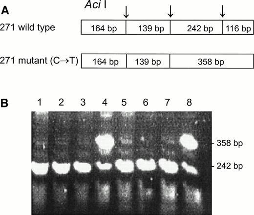 Fig. 3. Aci I RFLP for the identification of the 271C → T mutation. DNA was amplified using the FY3 and FY4 primers. Restriction fragments were separated on 1% agarose gel. (A) Schematic diagram of fragments generated by Aci I digestion of the DARC fragment encompassing nt 271. (B) RFLP patterns of DNA from samples with the indicated phenotypes, identified by antisera, and genotypes, determined by Ban I and Sty I (FY*B = wild-type GATA; FY*B− = GATA mutation). Lanes: 1 through 3, Fy(a−b−)FY*B−/FY*B−; 4, Fy(a−b−)FY*B/FY*B−; 5 through 7, Fy(a+b−)FY*A/FY*B−; 8, Fy (a+b−)FY*A/FY*B.