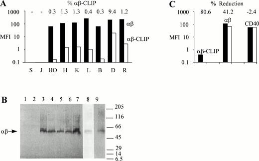 Fig. 1. Intact MHC class II antigen presentation in HD-cell lines. (A) Surface expression of MHC class II αβ dimers and MHC class II αβ–CLIP complexes in HD-cell lines. SUPT1 (S), JJHAN (J), HO, (HO), HDLM2 (H), KMH2 (K), L428 (L), BJAB (B), DAUDI (D), and RAJI (R) cells were either incubated with mouse IgG, CerCLIP.1, or BU27 MoAbs. Bound MoAbs were labeled with FITC-conjugated goat anti-mouse secondary antibodies and the samples processed for flow cytometric analysis. Bars indicate MFI values (MFI) of MHC class II αβ–CLIP complexes (αβ-CLIP, white bars) and MHC class II αβ dimers (αβ, black bars) after subtraction of MFI values obtained from fluorescent staining using mouse IgG as a primary reagent. Shown on top are the relative amounts of MHC class II αβ–CLIP complexes expressed as a percentage of the total amount of surface expressed MHC class II αβ dimers (% αβ-CLIP). (B) Formation of SDS-stable MHC class II αβ dimers in HD-cell lines. 106 SUPT1 (lane 1), JJHAN (lane 2), HO (lane 3), L428 (lane 4), BJAB (lane 5), DAUDI (lane 6), RAJI (lane 7), HDLM2 (lane 8), and KMH2 cells (lane 9) were lysed in presence of SDS under nonreducing conditions and lysates analyzed by SDS-PAGE and Western blotting using the anti-MHC class II antibody, BU27, as a probe. This antibody reacts only with MHC class II αβ dimers. It does not react with either free MHC class II α or β chains. The positions of molecular weight markers (expressed as 10-3 × Mr) are shown on the right. The symbol, αβ, shown on the left, points to the SDS-stable MHC class II αβ dimers (∼60 kD). HDLM2 (lane 8) and KMH2 cell lysates (lane 9) were run on separate gels because the background produced by the MoAb, BU27, was lower in HDLM2 and higher in KMH2 cells than in the other cell lines used. (C) Leupeptin inhibits surface expression of MHC class II αβ–CLIP complexes in L428 cells. L428 cells were cultured in the absence (black bars) or presence (white bars) of 1.5 mmol/L leupeptin for 24 hours. The cells were stained with the same primary (BU27, αβ; CerCLIP.1, αβ-CLIP) and secondary reagents as described in (A). As a negative control for the effect of leupeptin on the surface expression of MHC class II molecules, cells were labeled with a PE-conjugated anti-CD40 antibody or with a PE-conjugated mouse IgG. Shown are MFI values obtained with the PE-conjugated anti-CD40 antibody (CD40) after subtraction of MFI values generated by the PE-conjugated mouse IgG. The relative reductions of cell surface fluorescence after leupeptin treatment are indicated on top (% Reduction).