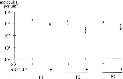 Fig. 3. Quantitation of MHC class II αβ dimers and MHC class II αβ–CLIP complexes expressed on the surface of HRS cells. Diagnostic lymph node biopsies from two cases of nodular sclerosis Hodgkin's disease (P1, P2) and one case of lymphocyte-rich classical Hodgkin's disease (P3) were disaggregated into single-cell suspensions and the cells fluorescently labeled with BU27 (αβ) and CerCLIP.1 (αβ-CLIP) MoAbs as described in the legend to Fig 2. For each staining, the 10 most intensely stained HRS cells were selected and used for densitometric analysis. The membrane densities of MHC class II αβ dimers and MHC class II αβ–CLIP complexes are expressed as the number of molecules per μm2 plasma membrane area.