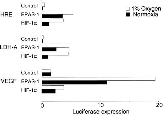 Fig. 8. Transactivation by EPAS-1 and HIF-1α in Ka13 cells. Histogram showing the relative luciferase expression from transient cotransfections of CHO Ka13 cells with reporter plasmids containing a multiple HRE (p24x6TKLuc), the LDH-A promoter (pLDH-ALuc), or the VEGF promoter (pVEGFLuc) and an expression plasmid for either HIF-1α, EPAS-1, or an empty vector control. Values shown represent averaged data from seven experiments, with normalization to the normoxic value for LDH-A (1 arbitrary unit).