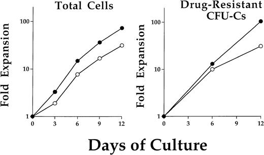Fig. 1. Expansion kinetics for total cells and drug-resistant progenitors after retroviral transduction. Cells were maintained in liquid suspension cultures with addition of IL-3, IL-6, and SCF. A typical cell expansion is shown for cells from either MDR1 (•) or DHFR (○) cocultures (left). No significant difference in cell expansion was noted between these two groups. Cells were removed on day 0, 6, and 12 for clonogenic progenitor assay in methylcellulose. Selective concentrations of Taxol or trimetrexate were used to determine MDR1 or DHFR expressing drug-resistant progenitor cells, respectively. The progenitor population was found to expand at a similar rate as the total cells.