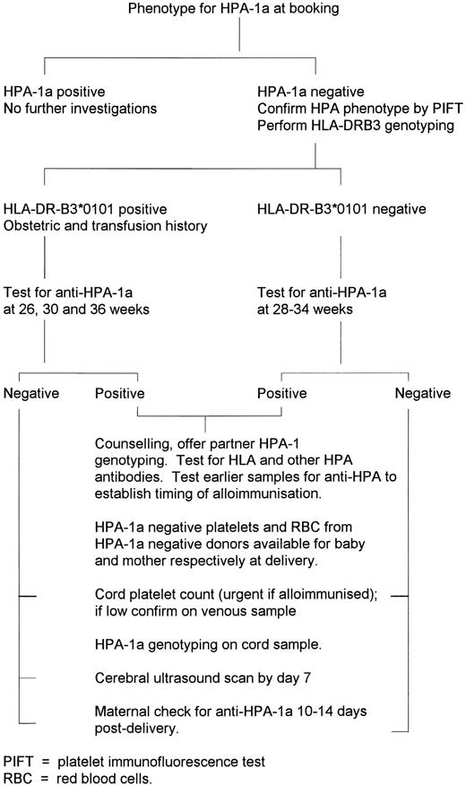 Fig. 1. Flow chart of investigations.