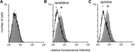 Fig. 7. Reactions of normal serum (A), antibody JH (B), and antibody Q1 (C) with CHO cells expressing GPIX and GPIbβ (flow cytometry). Antibody binding was observed only in the presence of drug. Reactions shown are typical of three independent experiments.