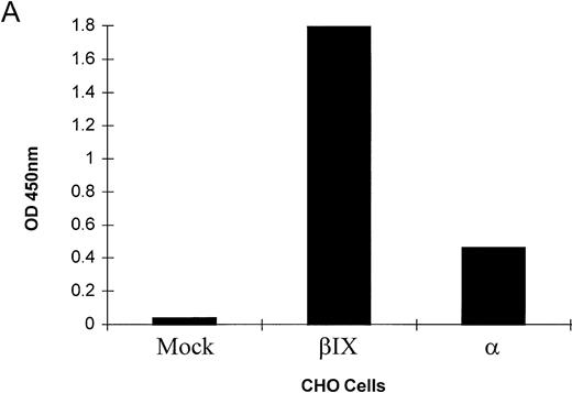 Fig. 2. Reactions of group 1 patient sera with CHO cells stably transfected with cDNAs from various parts of the GPIb-IX complex and inhibition of quinine-dependent antibody binding by anti-GPIX MoAbs. MAIPA studies were performed in the presence and absence of quinine with patient serum and a MoAb as indicated in the figure. (A) The results of one representative patient's serum binding to mock-transfected CHO, CHO βIX, and CHO α cells in the presence of quinine. Binding was not observed in the absence of quinine (not shown). In the presence of quinine, binding did not occur with mock-transfected CHO cells but was observed with CHO βIX and CHO α cells. (B) The results of one representative patient's serum binding to CHO βIX cells expressing GPIbβ and GPIX in the presence (▩) or absence (▧) of quinine and a competitive MoAb (FMC25 or SZ1). No binding was observed in the absence of quinine. Competition with FMC25 did not inhibit the quinine-dependent antibody binding. Conversely, competition with SZ1 (specific for GPIX) inhibited binding of the quinine-dependent antibody.