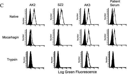 Fig. 3. Characterization of the quinine-dependent antibody binding domain on GPIbα. (A) GPIbα amino acid sequence residues 269 to 297. The specific cleavage sites for mocarhagin (a novel cobra venom metalloproteinase) and trypsin are shown. The MoAbs AK2, SZ2, and AK3 are specific for GPIbα. AK2 binds distal to amino acid 275, SZ2 between amino acids 276 to 282, and AK3 proximal to amino acid 294. The quinine-dependent antibody is interacting with GPIbα between amino acids 283 to 293. (B) After labeling the surface proteins of the CHO αβIX cells with biotin, the GPIbIX complex was immunoprecipitated using the MoAb panel. The presence of the GPIbα and GPIX native proteins was shown on the surface of the CHO αβIX cells. Lane 1 shows the components immunoprecipitated using AK3, lane 2 with AK2, and lane 3 with SZ2. After cleavage with mocarhagin, AK3 precipitated a 70-kD GPIbα component and the intact GPIX protein from the surface of the cells (lane 4). AK2 (lane 5) and SZ2 (lane 6) were able to precipitate a 40-kD GPIbα component from the supernatant collected after the cleavage step. (C) Sequential cleavage of GPIbα and checking the ability of the quinine-dependent antibody to continue binding enabled the definition of the domain to which the Ibα-specific antibody was binding. All MoAbs bound to the surface of the untreated L αβ cells. AK2 and SZ2 binding were inhibited after cleavage with mocarhagin. AK3 binding was still present, although at a lower level after cleavage with trypsin. The quinine-dependent antibody binding remained after cleavage with mocarhagin but was inhibited after cleavage with trypsin, indicating that the GPIbα-specific quinine-dependent antibody binding site is located between amino acids 283 and 293.