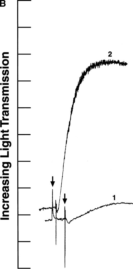 Fig. 2. ADP-induced platelet aggregation. Platelets (2 × 108 mL−1 final concentration) were preincubated at 37°C with 250 nmol/L final concentration of the indicated fibrinogen before adding ADP to 10 μmol/L final concentration (indicated by arrows). The increase in light transmission is plotted versus time. Shown are representative curves, with each experiment performed at least four times. (A) Curve 1, normal recombinant fibrinogen; curve 2, recombinant Aα D97E fibrinogen. (B) Curve 1, recombinant Aα DE2/γ 407 fibrinogen; curve 2, recombinant Aα D574E fibrinogen.