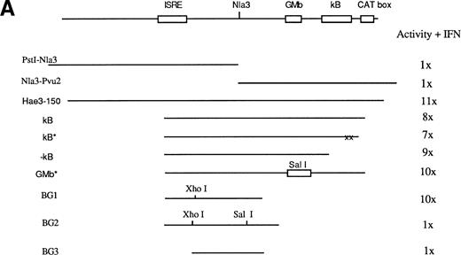 Fig. 3. Map of the distal regulatory region responsible for IFN inducibility of the Ly-6E promoter in B cells. (A) Various constructs used to characterize this region and their response to IFN-γ assayed by luciferase activity is shown as well as the HaeIII 150-bp fragment showing maximum IFN inducibility. Computer analysis of this sequence identified potential sites for three DNA binding proteins: a CAT box, NF-κB, and a GMb site defined in the promoter of the GM-CSF gene. Constructs κB, κB*, −κB, and GMb* were designed to address their function. Astericks represent mutated sites and −κb construct lacks NF-κB site. BG1 and BG2 sequences were generated by PCR to further define the functional sites. BG2 contains additional 8 bp relative to BG1 and an insertion of a nucleotide (C) 3′ toNlaIII site to generate SalI site. BG1 was fully inducible, whereas BG2 was completely devoid of inducibility. The increase in luciferase activity is shown on the right and is representative of five experiments. (B) At the bottom, the minimal sequence required for IFN-γ inducibility is shown.