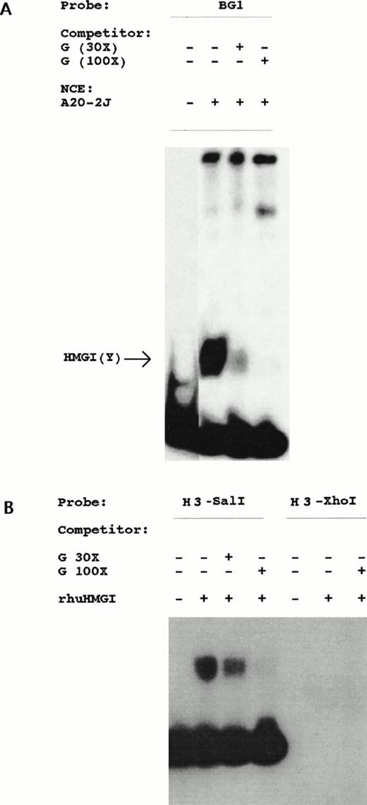 Fig. 7. Localization of HMG-I binding region. (A) Detection of an HMGI(Y)-like protein by BG1 probe from nuclear extracts of A20-2J cells. Competition with increasing amounts (30- and 100-fold molar excess) of unlabeled G region oligonucleotide shows specificity of the retarded band. (B) Recombinant human HMGI(Y) protein binds only to theHindIII-SalI probe (sequence shown in Fig 3) derived from the regulatory region. HindIII-XhoI probe containing ISRE was unable to bind rhHMGI(Y) protein. Competition with unlabeled G region oligonucleotide inhibited the complex in a dose-dependent fashion.