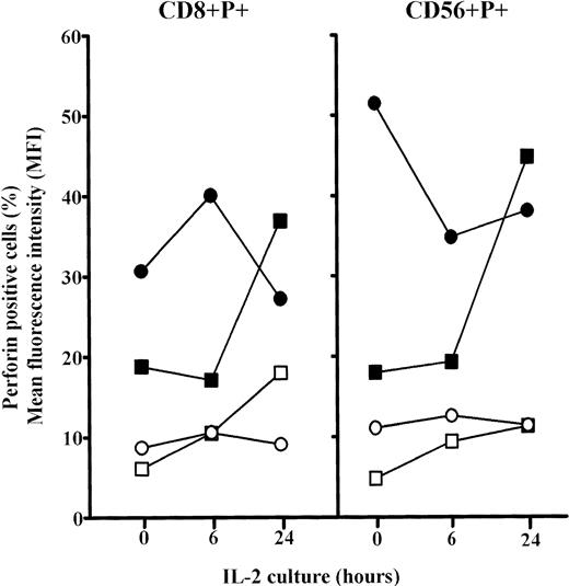 Fig. 6. Changes in the percentages and mean content of perforin (MFI) in subpopulations of perforin positive PBL (CD8+P+ and CD56+P+) cultured for 6 or 24 hours in high IL-2 medium. Results are expressed as mean values, and each point is the average value of five to six samples. Perforin positive cells: adults, ○; elderly persons, □. MFI: adults, •; elderly persons, ▪.