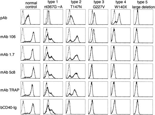 Fig. 2. Representative histograms of CD40L expression in patients with XHIM using an anti-CD40L pAb, four MoAbs, and bCD40-Ig. The histograms are similar to those described in Fig 1. The reagents used for immunostaining are indicated on the left and the mutations represented by the cell lines and the assigned staining type are listed at the top. See Table 2 for the definition of the immunostaining type.
