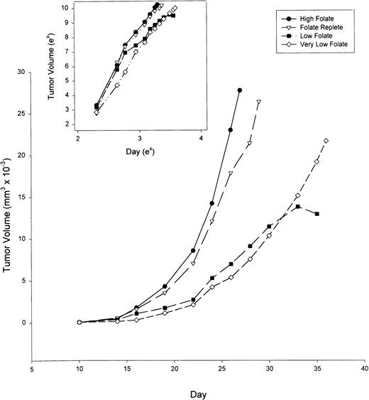Fig. 2. Growth of MADB106 mammary tumor in rats maintained on diets of varying folate content. After 6 weeks on the dietary conditions indicated, tumor cells were injected subcutaneously into six animals per group. Tumor volumes were measured by calipers. Insert: Tumor volume and day plotted on natural log scales. At a significance level of 5%, the slopes for the high folate diet were larger than the low and very low folate diets, but not the folate replete diet. The slopes for the folate replete diet were larger than the low folate diet, but not the very low folate diet. The slopes for the very low folate diet were larger than the low folate diet as a group.