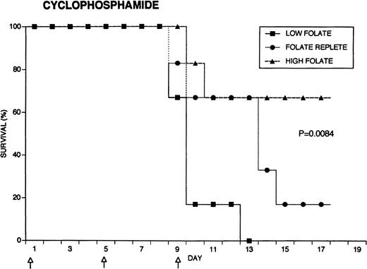 Fig. 4. Effect of folate status on the toxicity of cancer chemotherapy. Three groups of 18 rats each were maintained on the indicated folate diets. After 7 weeks, six animals from each group were treated with either cyclophosphamide 62.5 mg/kg (top), 5-FU 75 mg/kg (middle), or doxorubicin 7.5 mg/kg (bottom). Drugs were injected three times at 96-hour intervals (arrows). Survivals were significantly different for cyclophosphamide (P = .0084) and 5-FU (P = .025), but not for doxorubicin (P = .12) by the Log-Rank test.