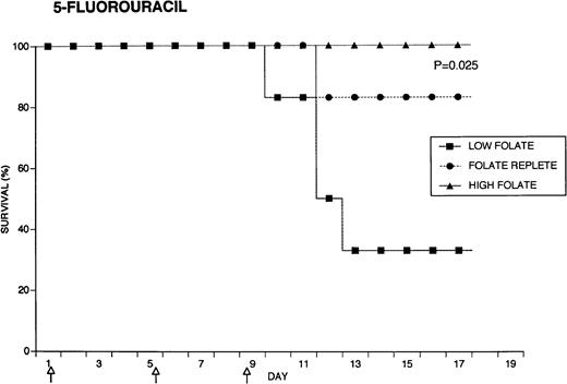 Fig. 4. Effect of folate status on the toxicity of cancer chemotherapy. Three groups of 18 rats each were maintained on the indicated folate diets. After 7 weeks, six animals from each group were treated with either cyclophosphamide 62.5 mg/kg (top), 5-FU 75 mg/kg (middle), or doxorubicin 7.5 mg/kg (bottom). Drugs were injected three times at 96-hour intervals (arrows). Survivals were significantly different for cyclophosphamide (P = .0084) and 5-FU (P = .025), but not for doxorubicin (P = .12) by the Log-Rank test.