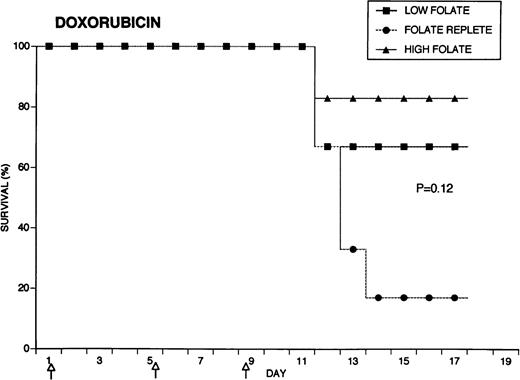 Fig. 4. Effect of folate status on the toxicity of cancer chemotherapy. Three groups of 18 rats each were maintained on the indicated folate diets. After 7 weeks, six animals from each group were treated with either cyclophosphamide 62.5 mg/kg (top), 5-FU 75 mg/kg (middle), or doxorubicin 7.5 mg/kg (bottom). Drugs were injected three times at 96-hour intervals (arrows). Survivals were significantly different for cyclophosphamide (P = .0084) and 5-FU (P = .025), but not for doxorubicin (P = .12) by the Log-Rank test.