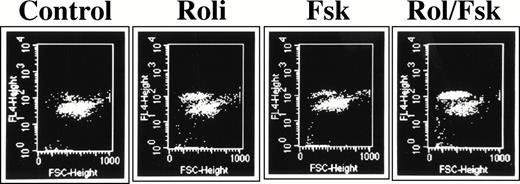 Fig. 6. Rolipram-induced apoptosis in CLL cells is detectable by Hoechst 33342 flow cytometry. Cells were cultured for 72 hours in media (1), 1 μmol/L rolipram (2), 40 μmol/L forskolin (3), or a combination of the two drugs. The abcissa reflects forward light scatter and the ordinate Hoechst 33342 fluorescence. Apoptotic cells are characterized by reduced forward light scatter and increased Hoechst 33342 fluorescence.