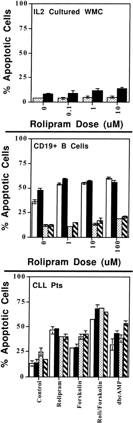 Fig. 8. CLL cells, WMC cultured with IL-2, and resting and activated CD19+ B cells vary in their sensitivity to rolipram-induced apoptosis. (Top) One million WMC were cultured with the indicated concentration of rolipram with (▪) or without (▧) the addition of 40 μmol/L forskolin for 72 hours in the presence of 2 U/mL IL-2. Apoptosis was determined by Hoechst 33342 flow cytometry. (Middle) CD19+ peripheral B cells were purified by adherence to anti-CD19 magnetic beads. These cells were then cultured with the indicated concentration of rolipram with (▪) or without (□) 40 μmol/L forskolin. In addition, an identical set of cells were stimulated through their surface Ig by the addition of 10 μg/mL of Fab′2 goat anti-human IgG/M 30 minutes before addition of rolipram with (▧) or without (▧) forskolin. (Bottom) CLL cells from two patients were cultured using an experimental design similar to that described for the middle panel. Rolipram was used at 10 μmol/L and forskolin at 40 μmol/L. (□), Media patient no. 1; (▪), anti-Ig patient no. 1; (▧), media patient no. 2; (▧), anti-Ig patient no. 2. The SEMs of triplicate cultures are indicated.