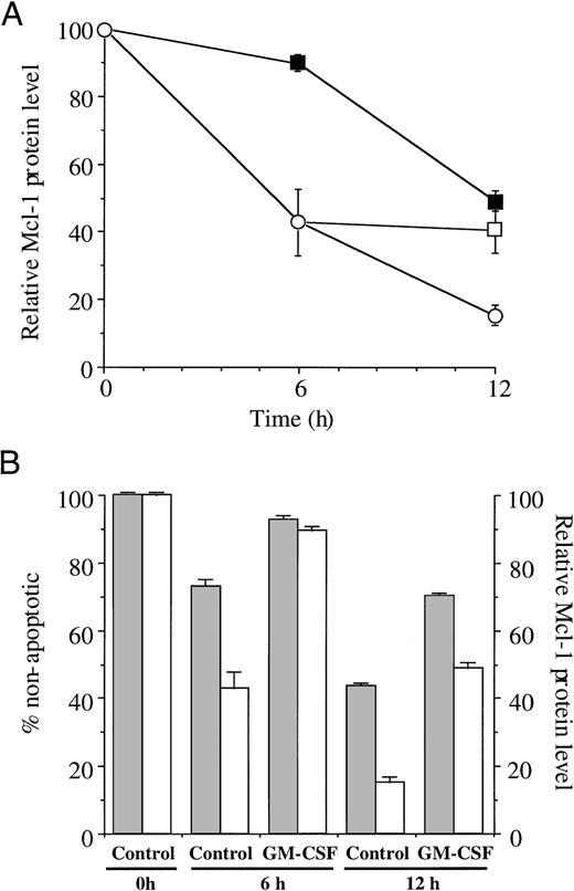 Fig. 5. Maintenance of Mcl-1 expression by GM-CSF and correlation with delayed apoptosis. In (A), Mcl-1 expression was determined by Western blotting and densitometric analysis as described in Materials and Methods after 2-, 4-, 6-, and 12-hour culture in medium alone (control, ○), with GM-CSF (▪), and with GM-CSF added to control incubations after 6-hour incubation of control suspensions (□). (B) shows the relationship between Mcl-1 expression (□) and nonapoptotic neutrophils (▧). Apoptosis was assessed by morphology as described in Materials and Methods, with Mcl-1 expression measured as in (A).