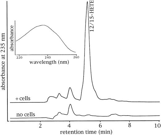 Fig. 1. Murine peritoneal lavage cells express an arachidonate 12-LOX. Peritoneal lavage in mice was performed as described in Material and Methods. The cells were spun down, washed, and resuspended in 1 mL of PBS. After addition of arachidonic acid (100 μmol/L final concentration), the cells were disrupted and the lysate was incubated for 15 minutes at 37°C. The reaction was stopped by acidification to pH 3, and the lipids were extracted with 1 mL of ethylacetate. The solvent was evaporated, the remaining lipids were reconstituted in 200 μL of methanol, and aliquots were analyzed by RP-HPLC as described in Materials and Methods. Upper trace, incubation with cells; lower trace, control incubation (no cells). Cells alone do not contain significant amounts of hydroxy fatty acids. Inset, ultraviolet-spectrum of the hydroxy fatty acids indicating the presence of conjugated dienes.