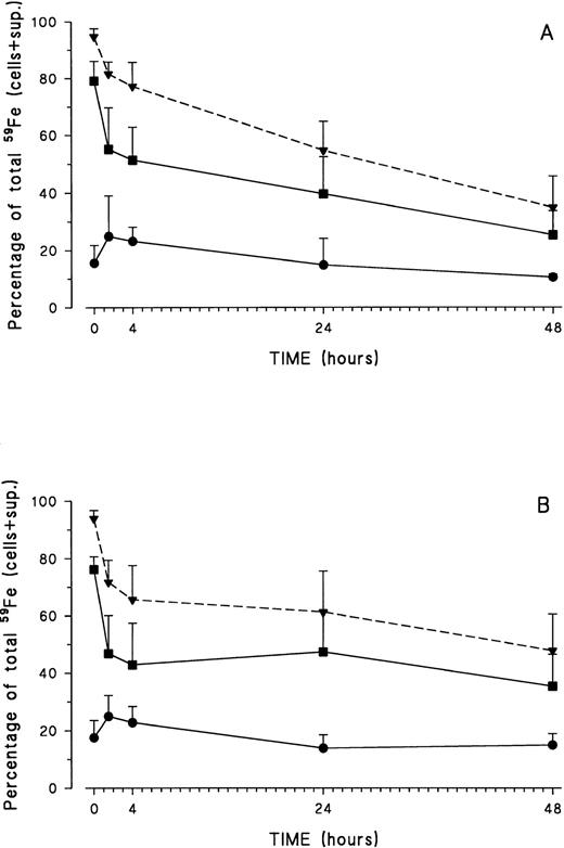 Fig. 2. Distribution of iron inside healthy volunteer (A) and HH (B) monocytes after erythrophagocytosis and during the release experiment. At different time points during iron release, monocytes were lysed by freeze-thawing, and cell membranes and nuclei were removed by centrifugation. Radioactivity was measured in the pellet-membrane fraction (•) and in the supernatant-cytosol fraction (▪). The total radioactivity present in the cell at any given time is also shown (▾ and dashed line). Results are expressed as percentage (mean ± SD) of total iron present in the system (= cells + supernatant) of five control and six HH experiments.