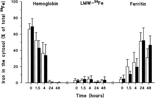 Fig. 3. Iron forms in the cytosol of healthy volunteer monocytes (□) and HH monocytes (▪) after erythrophagocytosis and during the release experiment. At different time points during iron release, monocytes were lysed by freeze-thawing and cell membranes and nuclei removed by centrifugation. Cytosol samples were frozen, dried, reconstituted with bidistilled deionized water, filtered, and fractionated on SE-HPLC. Radioactive iron was measured again in the eluted fractions. Iron was recovered as Hb, LMW-Fe, and ferritin. The results are expressed as percentage (mean ± SD) of the total iron present in the system (= cells + supernatant) of five experiments. Statistical analysis was by Student's t-test. Results of controls and patients were not statistically different.