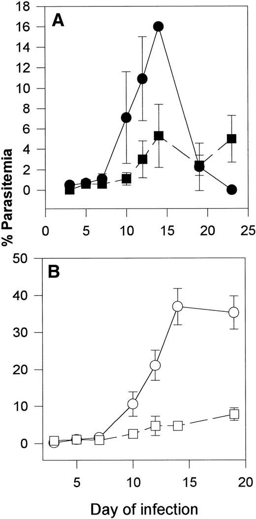 Fig. 2. (A) Course of P yoelii 17XNL (nonlethal) infection in intact (•; n = 2) and splenectomized (▪; n = 3) transgenic mice expressing 40% to 60% α2Mγ2 hemoglobin. Mice were infected intraperitoneally with 1 × 105 infected erythrocytes on day 0. On the days indicated, smears were prepared from the tail vein, stained, and counted. Data are expressed as mean parasitemia ± SEM. (B) Course of P yoelii 17XNL infection in C57BL/6J intact (○; n = 6) and splenectomized controls (□; n = 4). Mice were infected intraperitoneally with 1 × 105 infected erythrocytes on day 0. On the days indicated, smears were prepared from the tail vein, stained, and counted. Data are expressed as mean parasitemia ± SEM.