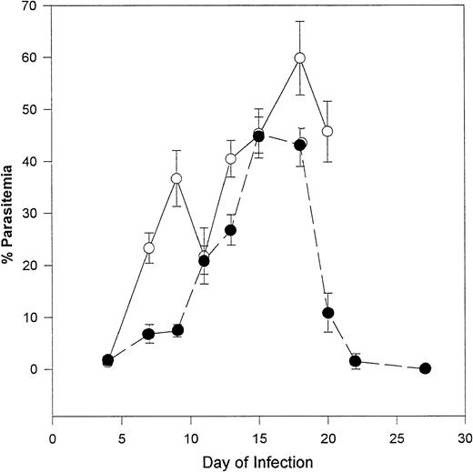 Fig. 3. Course of P yoelii 17XL (lethal) infection in C57BL/6J controls (○; n = 6) and transgenic mice expressing 40% to 60% α2Mγ2 hemoglobin (•; n = 7). Mice were infected intraperitoneally with 1 × 105 infected erythrocytes on day 0. On the days indicated, smears were prepared from the tail vein, stained, and counted. Data are expressed as mean parasitemia ± SEM.