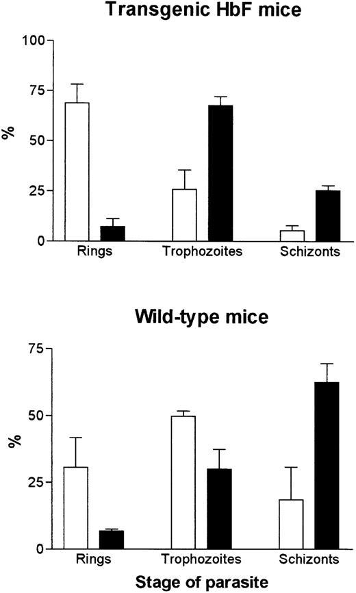 Fig. 5. Stages of intraerythrocytic parasites (P chabaudi adami) found in blood smears taken at 10:30 am (□) and 6:30 pm (▪) (200 infected erythrocytes on four smears were counted. Data represent mean ± SEM).