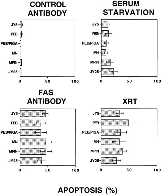 Fig. 7. Apoptosis of cell lines does not depend on a functioning PIG-A gene sequence or levels of GPI-linked surface expression. Cells were subjected to stimuli and analyzed for apoptosis by PI staining and flow cytometry. All data points were performed in triplicate for each experiment, and the displayed results represent six to eight independent experiments (mean ± 1 SD) for each stimulus. Upper left panel: Control antibody, with minimal apoptosis detected. Lower left panel: Fas antibody, with apoptosis ranging from 37.5% ± 10.1% to 46.8% ± 10.3%. Upper right panel: Serum starvation, with apoptosis ranging from 8.5% ± 2.6% to 22.2% ± 8.0%. Lower right panel: γ-irradiation, with apoptosis ranging from 27.9% ± 7.4% to 48.8% ± 18.8%. There were no statistically significant differences among the various cell lines, according to the presence of a functioning PIG-A gene or surface expression of GPI-linked proteins.