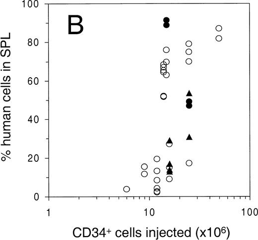 Fig. 1. Engraftment of G-CSF–mobilized human peripheral blood CD34+ cells in sublethally irradiated NOD/SCID mice. The percentage of human cells in (A) BM, (B) spleen, and (C) PB was determined by flow cytometry at 6 to 8 weeks after transplantation. Open circles represent untreated animals, closed circles represent animals treated with human G-CSF, triangles indicate animals treated with G-CSF and SCF (see Materials and Methods for dosage). Number of animals depicted in (A) through (C) is 81, 38, and 75, respectively. (D) Mean level of bone marrow engraftment (± SD) in five individual experiments spanning the range of the number of CD34+cells injected. Number of animals: in experiments 1 and 2, n = 6; in experiments 3 through 5, n = 4.