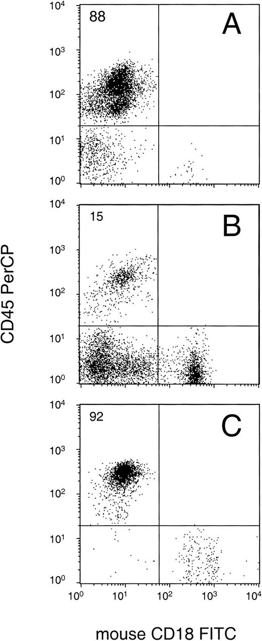 Fig. 3. Flow cytometric analysis of (A) BM, (B) spleen, and (C) PB of an animal transplanted with 25 × 106G-CSF–mobilized human peripheral blood CD34+ cells. The percentage of human cells (CD45+ and mCD18−) is indicated in the graphs. The spleen of this animal was enlarged as compared with control (17 × 106 v 5.4 × 106 cells). In (D), humerus of this animal (top) as compared with the humerus of an irradiated nontransplanted control animal (bottom). In (E) and (F), histology (hematoxylin and eosin stain) of the bone marrow of control and transplanted animal, respectively.
