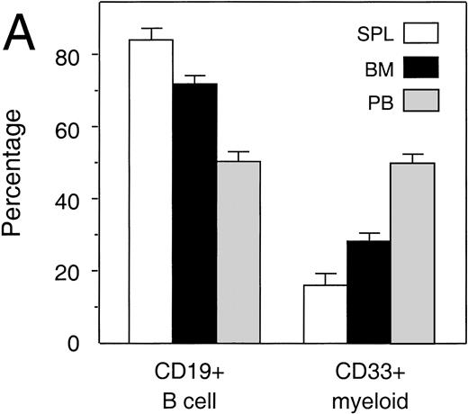 Fig. 4. Analysis of myelopoiesis and B lymphopoiesis in transplanted NOD/SCID. (A) Overall distribution of myeloid (CD33+) and B-lymphoid (CD19+) lineages among human cells in spleen (n = 10), bone marrow (n = 50), and peripheral blood (n = 50). Differences between SPL and BM were significant (P < .05), differences between SPL and BM, and BM and PB were highly significant (P < .001). Bars indicate mean ± SEM. (B) Relative distribution of various myeloid and B-lymphoid subsets in the bone marrow of four representative animals (containing 84.5%, 76.6%, 78.9%, and 73.5% CD45+cells in the BM, respectively). Immature cells and monocytes both express HLA-DR+, whereas monocytes also express high levels of CD33. Granulocytes express CD33 but are negative for HLA-DR (left panel). All B cells express CD19 of which the most immature B cells lack both CD10 and CD20, with differentiation expression of CD10 is followed by expression of CD20 and, ultimately, loss of CD10 on the mature B cell (right panel). Animals included in this analysis had not been treated with a mobilizing regimen. Bars represent mean ± SEM (n = 4).
