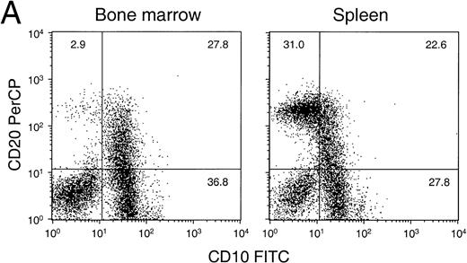 Fig. 5. Detailed flow cytometric analysis of the various hematopoietic lineages in bone marrow and spleen of engrafted NOD/SCID. Plots are from a representative experiment in which animals were transplanted with 15 × 106 CD34+ cells and were analyzed after 6 to 8 weeks. (A) Distribution of B-cell markers CD10 and CD20 on all nucleated cells. (B) Distribution of heavy and light-chain cell-surface immunoglobulin on CD19+ human B cells (mean ± SEM of n = 4 to n = 7). All differences between BM and SPL were highly significant (P < .001). (C) Distribution of HLA-DR and CD33 (circles indicate activated HLA-DR+and resting HLA-DR− granulocytes) among CD45+ cells, (D) expression of CD11b and CD16 on CD45+ cells, and (E) expression of human Glycophorin A (Gly A) on CD45− nucleated and enucleated cells. 40,000 events per analysis were recorded.