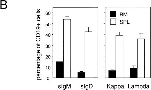 Fig. 5. Detailed flow cytometric analysis of the various hematopoietic lineages in bone marrow and spleen of engrafted NOD/SCID. Plots are from a representative experiment in which animals were transplanted with 15 × 106 CD34+ cells and were analyzed after 6 to 8 weeks. (A) Distribution of B-cell markers CD10 and CD20 on all nucleated cells. (B) Distribution of heavy and light-chain cell-surface immunoglobulin on CD19+ human B cells (mean ± SEM of n = 4 to n = 7). All differences between BM and SPL were highly significant (P < .001). (C) Distribution of HLA-DR and CD33 (circles indicate activated HLA-DR+and resting HLA-DR− granulocytes) among CD45+ cells, (D) expression of CD11b and CD16 on CD45+ cells, and (E) expression of human Glycophorin A (Gly A) on CD45− nucleated and enucleated cells. 40,000 events per analysis were recorded.