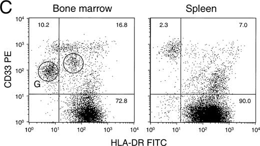Fig. 5. Detailed flow cytometric analysis of the various hematopoietic lineages in bone marrow and spleen of engrafted NOD/SCID. Plots are from a representative experiment in which animals were transplanted with 15 × 106 CD34+ cells and were analyzed after 6 to 8 weeks. (A) Distribution of B-cell markers CD10 and CD20 on all nucleated cells. (B) Distribution of heavy and light-chain cell-surface immunoglobulin on CD19+ human B cells (mean ± SEM of n = 4 to n = 7). All differences between BM and SPL were highly significant (P < .001). (C) Distribution of HLA-DR and CD33 (circles indicate activated HLA-DR+and resting HLA-DR− granulocytes) among CD45+ cells, (D) expression of CD11b and CD16 on CD45+ cells, and (E) expression of human Glycophorin A (Gly A) on CD45− nucleated and enucleated cells. 40,000 events per analysis were recorded.