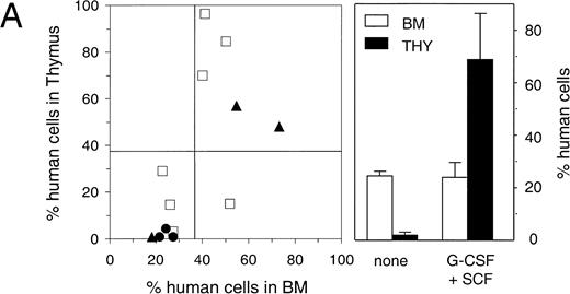 Fig. 6. Percentage and phenotype of human cells in the thymus of transplanted NOD/SCID. (A, left panel) Relationship between the percentage of human thymocytes in the thymus and level of engraftment in the BM (n = 13). Animals in individual experiments are indicated by the same symbol. (A, right panel) Mean engraftment in BM and thymus (THY) of animals that were either untreated (n=3) or treated (n=4) for 6 days with human G-CSF (250 μg/kg/d, subcutaneously) and pegylated human SCF (20 μg/kg/d, subcutaneously). Bars represent mean ± SEM. Differences between untreated and G-CSF/SCF-treated animals in the thymus were significant (P < .05) whereas chimerism in the BM was not significantly different. (B) Phenotypic analysis of the thymus of a representative animal. This animal was engrafted with human PB CD34+ cells and was treated with G-CSF and SCF. The left top panel shows the distribution of chimerism in various organs. Cells were analyzed for the expression of the human T-cell markers CD3, CD7, CD4, CD8, and activation marker CD69, or were incubated with isotype control antibodies.