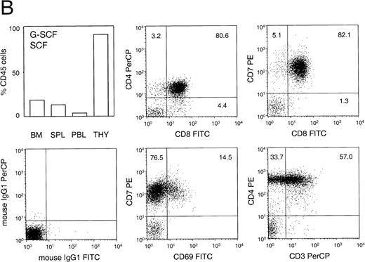 Fig. 6. Percentage and phenotype of human cells in the thymus of transplanted NOD/SCID. (A, left panel) Relationship between the percentage of human thymocytes in the thymus and level of engraftment in the BM (n = 13). Animals in individual experiments are indicated by the same symbol. (A, right panel) Mean engraftment in BM and thymus (THY) of animals that were either untreated (n=3) or treated (n=4) for 6 days with human G-CSF (250 μg/kg/d, subcutaneously) and pegylated human SCF (20 μg/kg/d, subcutaneously). Bars represent mean ± SEM. Differences between untreated and G-CSF/SCF-treated animals in the thymus were significant (P < .05) whereas chimerism in the BM was not significantly different. (B) Phenotypic analysis of the thymus of a representative animal. This animal was engrafted with human PB CD34+ cells and was treated with G-CSF and SCF. The left top panel shows the distribution of chimerism in various organs. Cells were analyzed for the expression of the human T-cell markers CD3, CD7, CD4, CD8, and activation marker CD69, or were incubated with isotype control antibodies.