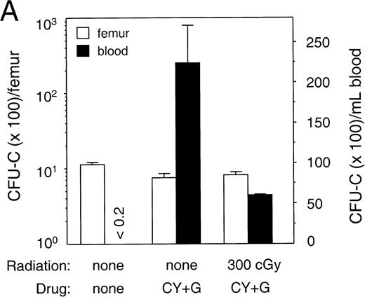 Fig. 7. Mobilization of mouse progenitor cells in NOD/SCID. (A) Progenitor cells in femur and blood of animals unirradiated or preirradiated with 300 cGy, untreated or after treatment with cyclophosphamide (200 mg/kg interperitoneally at day 6) followed by 4 days of G-CSF (250 μg/kg/d, subcutaneously). Bars indicate mean ± SEM (n = 2 per group). The difference between irradiated and nonirradiated animals was not significant (P = .07). (Note: left axis has a log scale, right axis has a linear scale.) (B) Spleen weight and (C) white blood cell (WBC) counts of the same animals (mean ± SEM, n = 2). In nonirradiated animals, the increase in both spleen weight and WBC counts is highly significant (P < .01). Increase of WBC in irradiated animals as compared with control is also highly significant (P < .01) whereas spleen weight did not change.