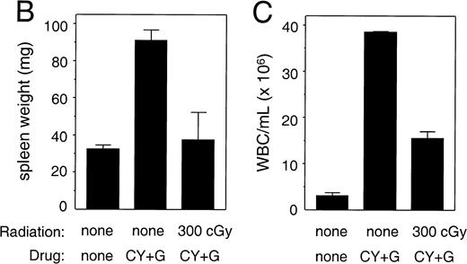 Fig. 7. Mobilization of mouse progenitor cells in NOD/SCID. (A) Progenitor cells in femur and blood of animals unirradiated or preirradiated with 300 cGy, untreated or after treatment with cyclophosphamide (200 mg/kg interperitoneally at day 6) followed by 4 days of G-CSF (250 μg/kg/d, subcutaneously). Bars indicate mean ± SEM (n = 2 per group). The difference between irradiated and nonirradiated animals was not significant (P = .07). (Note: left axis has a log scale, right axis has a linear scale.) (B) Spleen weight and (C) white blood cell (WBC) counts of the same animals (mean ± SEM, n = 2). In nonirradiated animals, the increase in both spleen weight and WBC counts is highly significant (P < .01). Increase of WBC in irradiated animals as compared with control is also highly significant (P < .01) whereas spleen weight did not change.